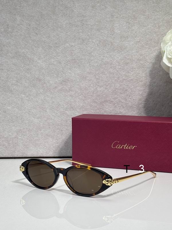 Cartier CT0491S 59 19 145 c06