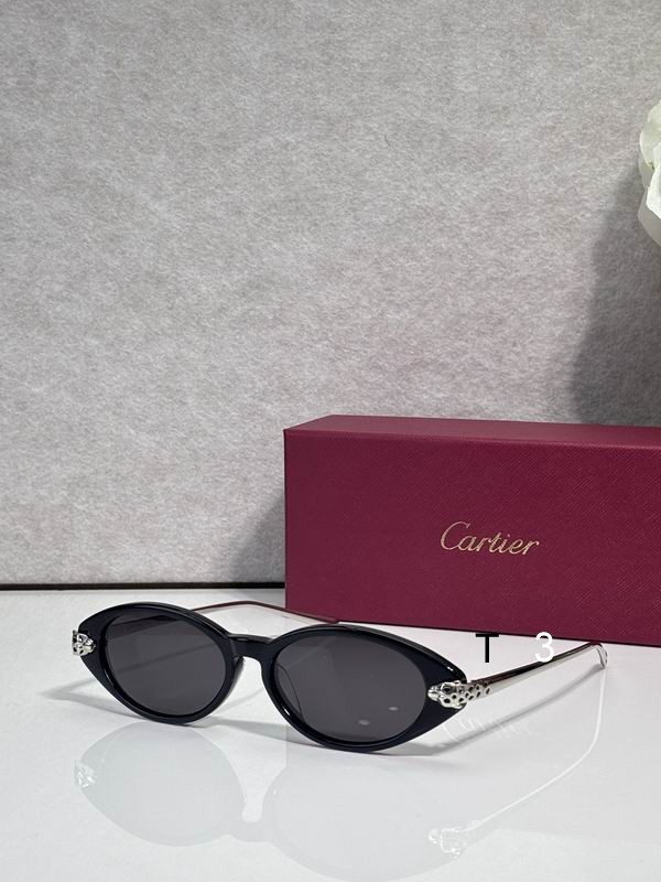 Cartier CT0491S 59 19 145 c07