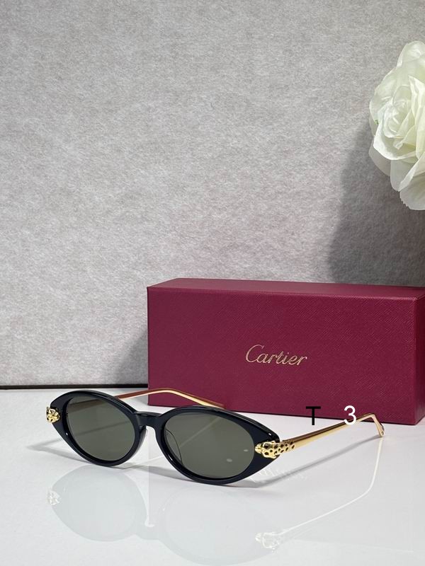 Cartier CT0491S 59 19 145 c08