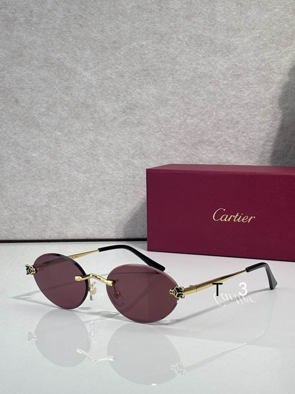 Cartier CT0561 57 18-140 c05