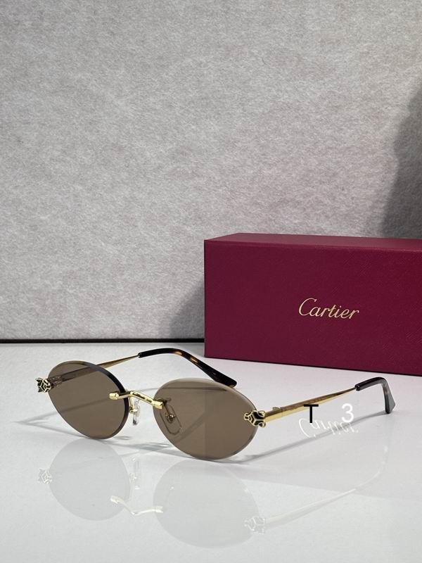 Cartier CT0561 57 18-140 c06