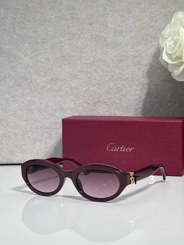 Cartier CT0588O 53 21-145 c05
