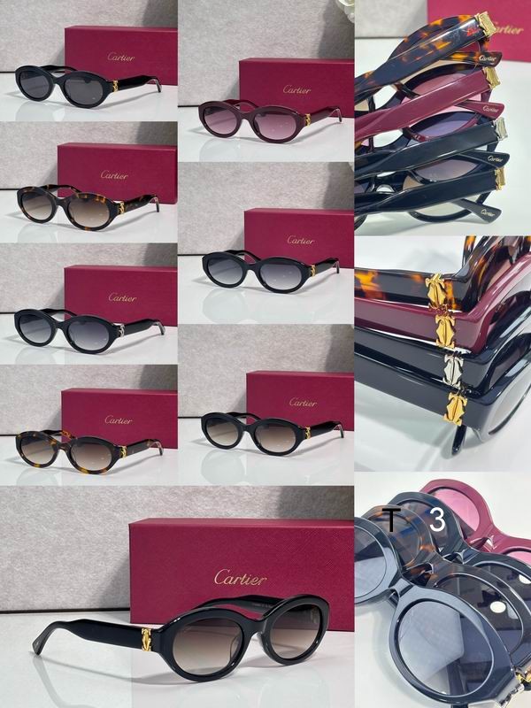 Cartier CT0588O 53 21-145 c09