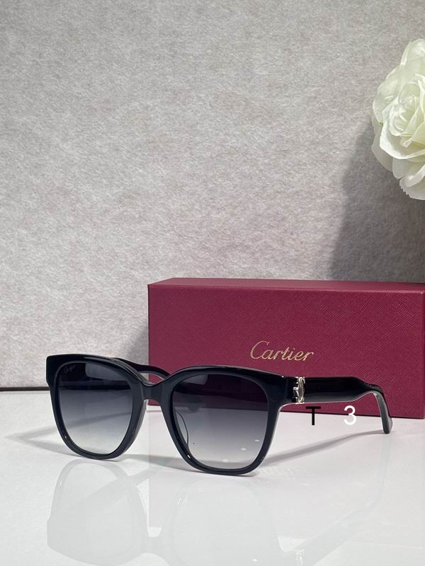 Cartier CT0589O 54 20-145 c02