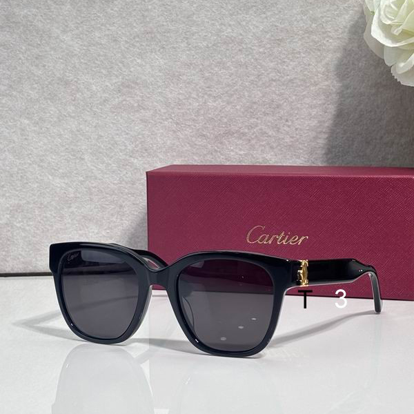 Cartier CT0589O 54 20-145 c03