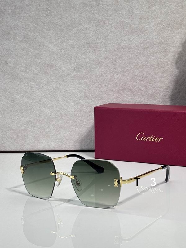 Cartier CT0591S 55 20-145 C00