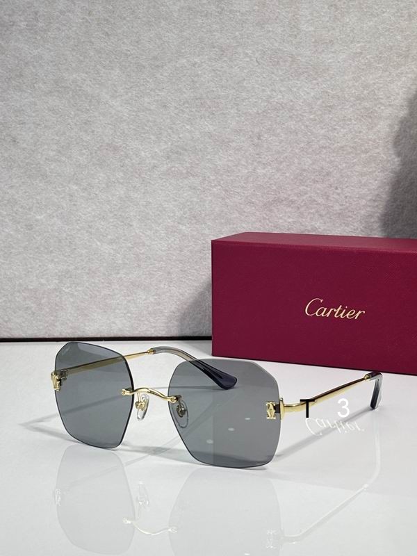 Cartier CT0591S 55 20-145 C01