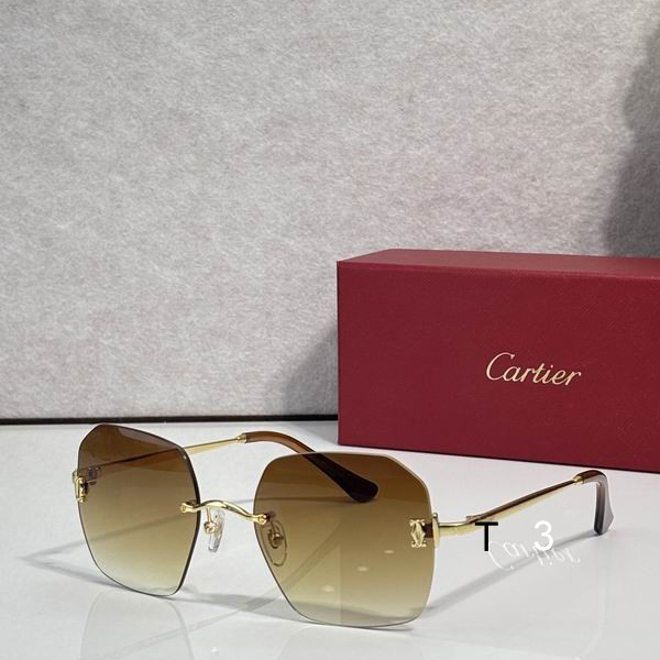 Cartier CT0591S 55 20-145 C02