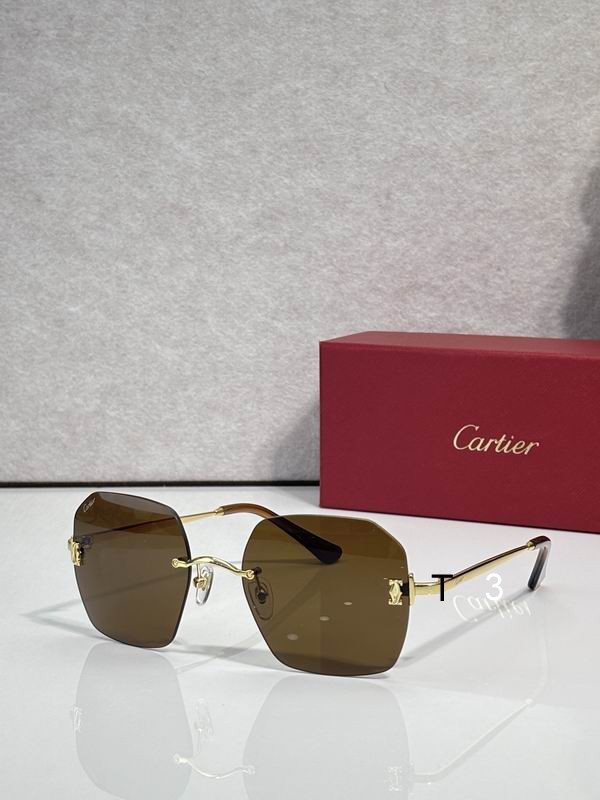 Cartier CT0591S 55 20-145 C03