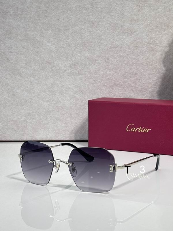 Cartier CT0591S 55 20-145 C04
