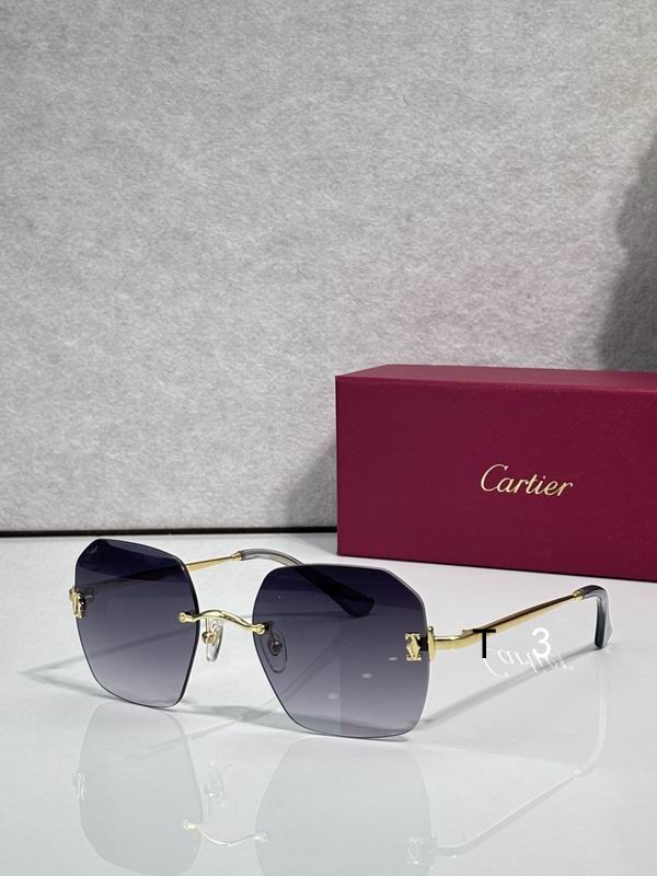 Cartier CT0591S 55 20-145 C05