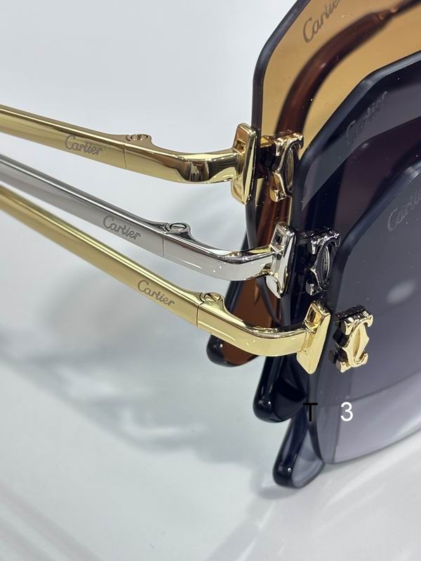 Cartier CT0591S 55 20-145 C06