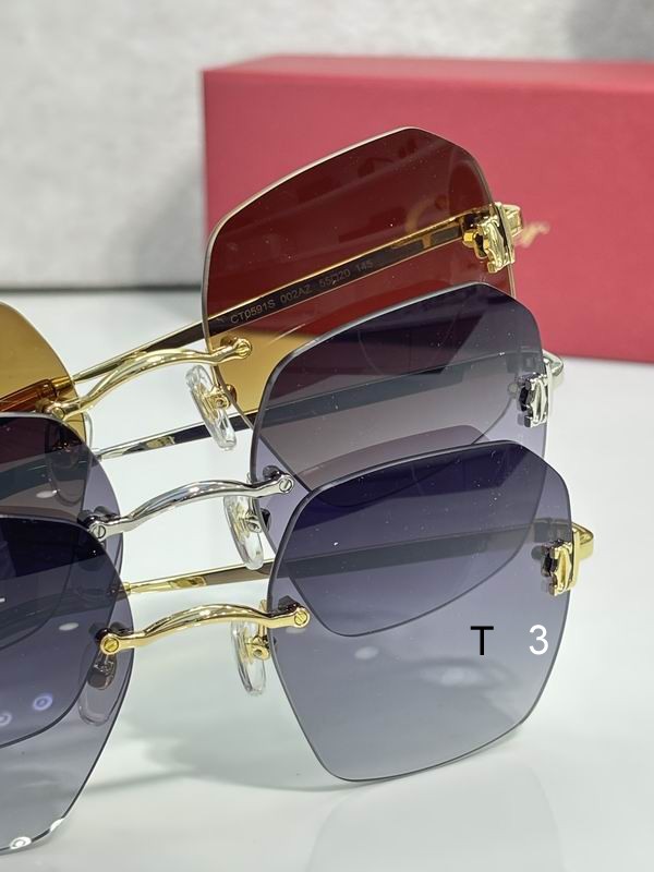 Cartier CT0591S 55 20-145 C07