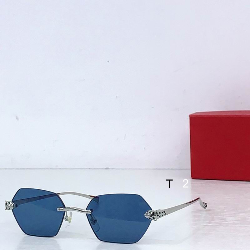 Cartier CT0636S 140 b02