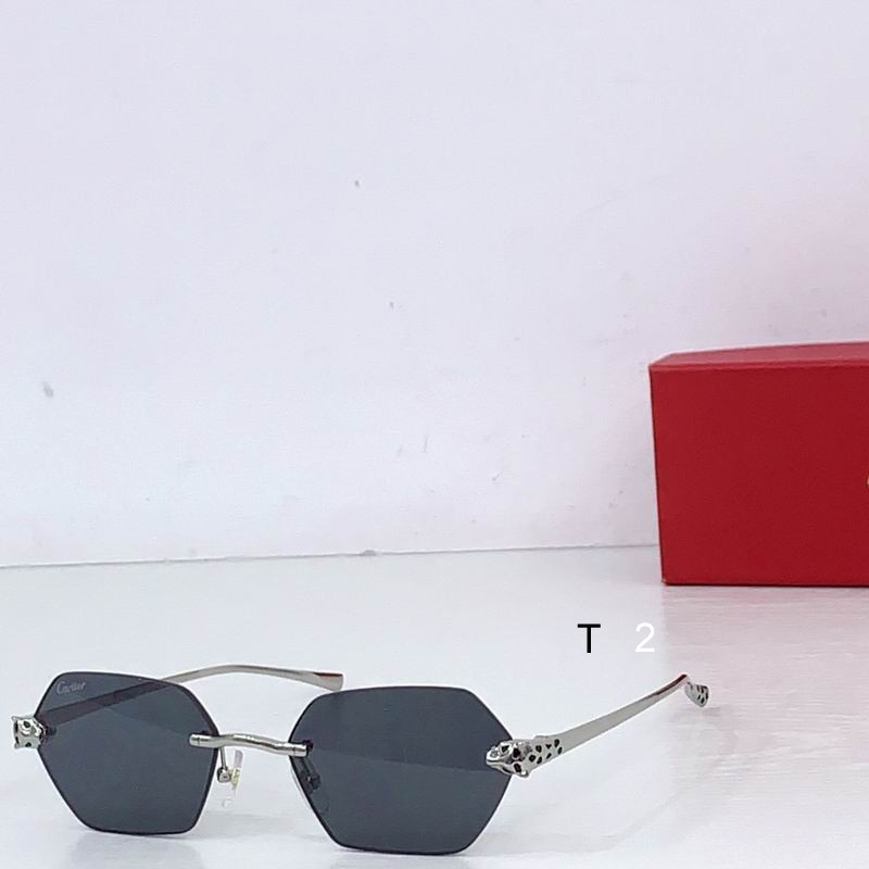 Cartier CT0636S 140 b05