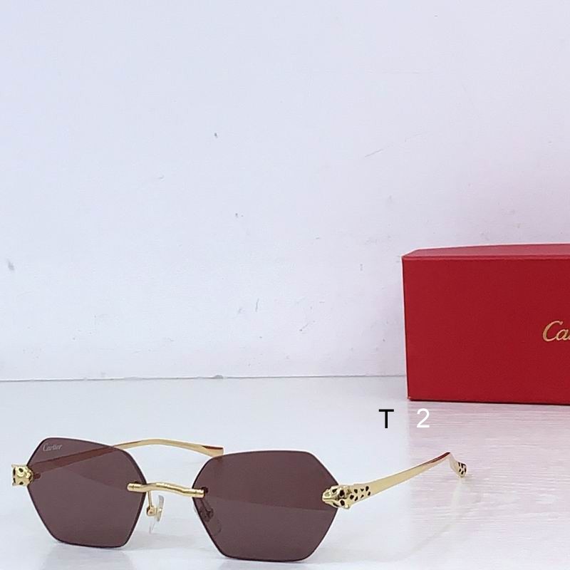 Cartier CT0636S 140 b08