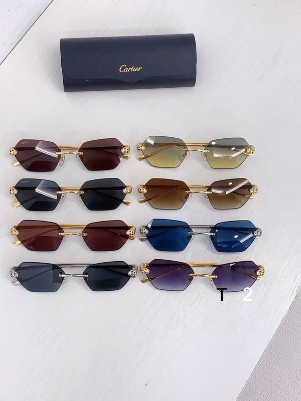 Cartier CT0636S 140 b09