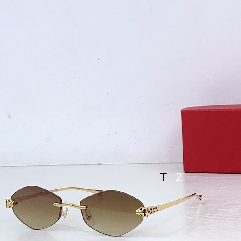 Cartier CT0637S 140 b02