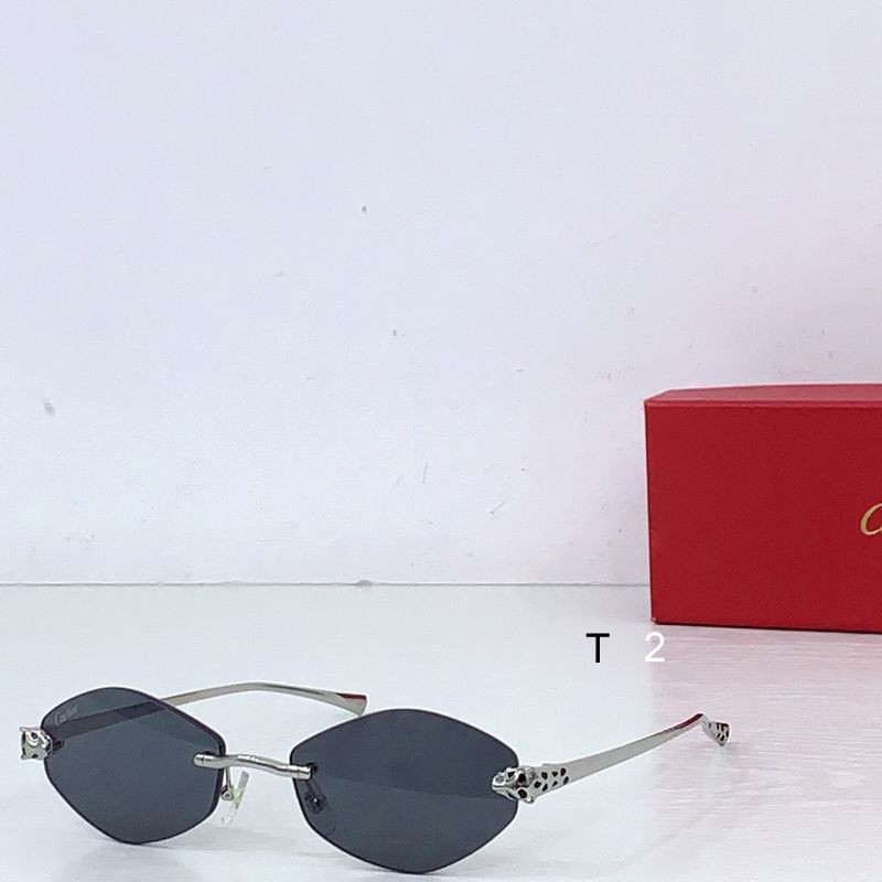 Cartier CT0637S 140 b05