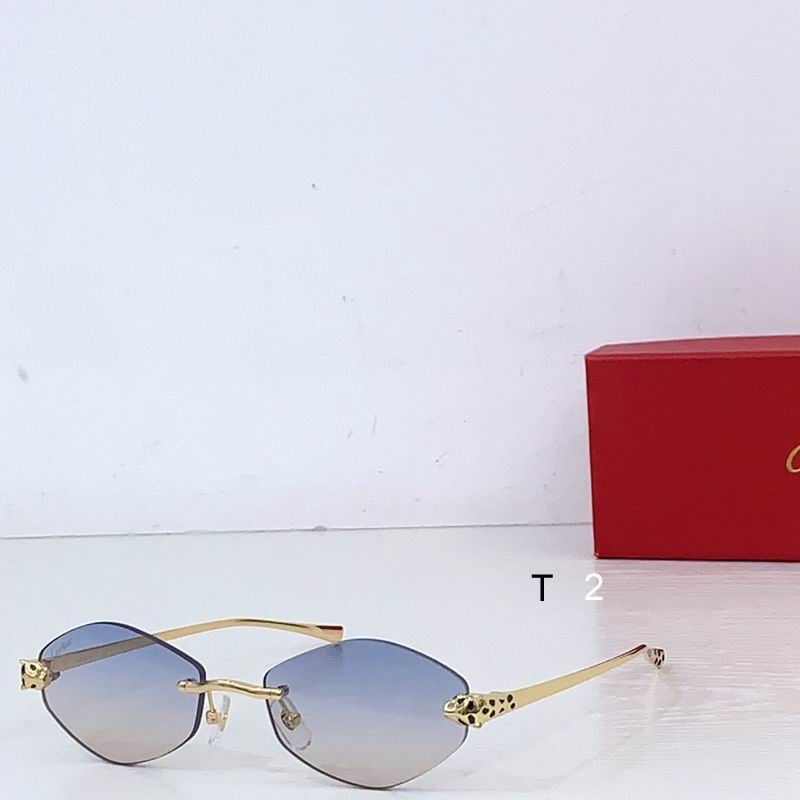 Cartier CT0637S 140 b06