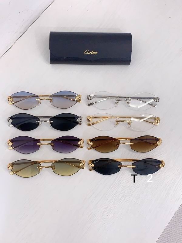 Cartier CT0637S 140 b09