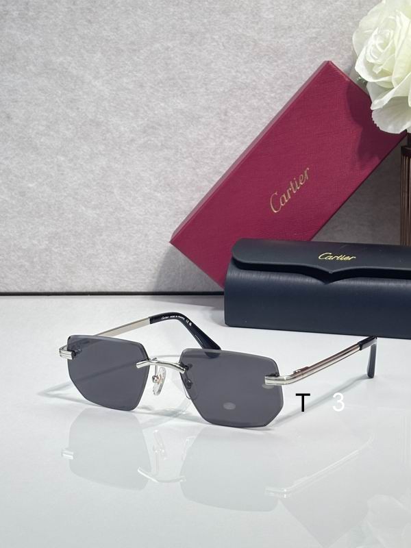 Cartier CT0653S 55 18-145 C01