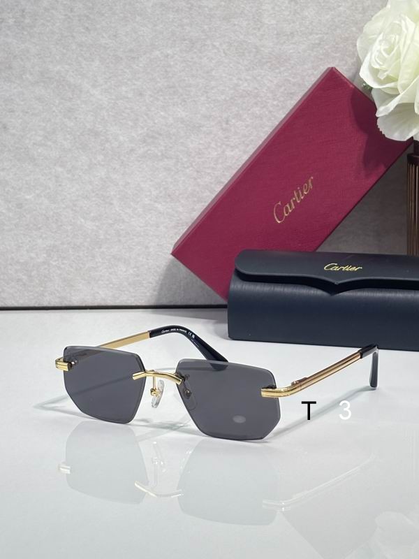 Cartier CT0653S 55 18-145 C03
