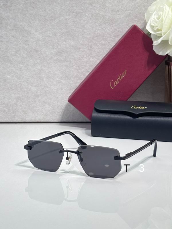 Cartier CT0653S 55 18-145 C04