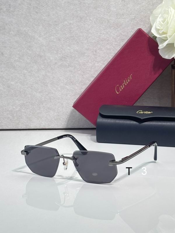 Cartier CT0653S 55 18-145 C05