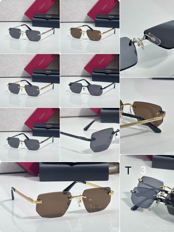 Cartier CT0653S 55 18-145 C08
