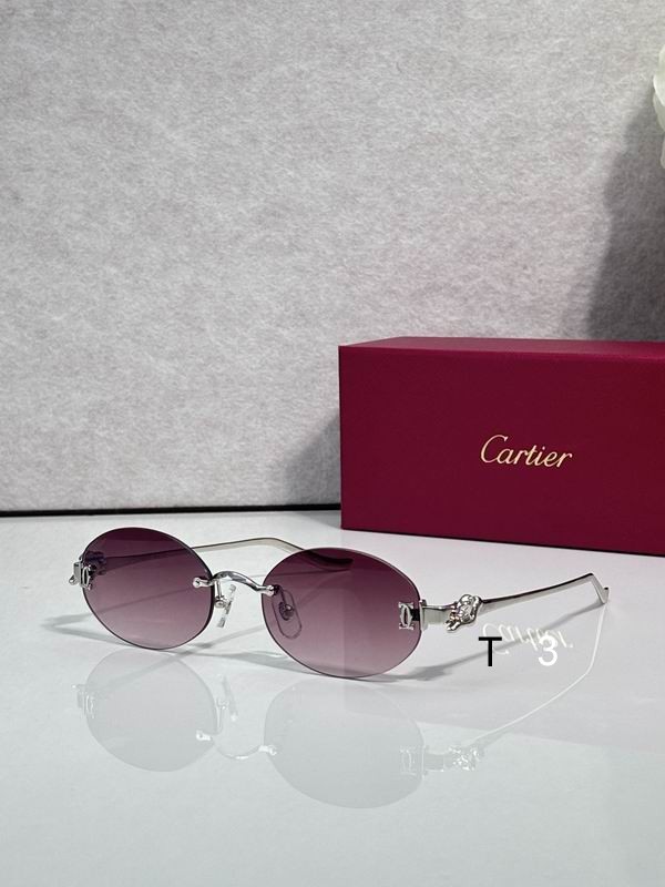 Cartier CT0653S 55 19- 135 c02