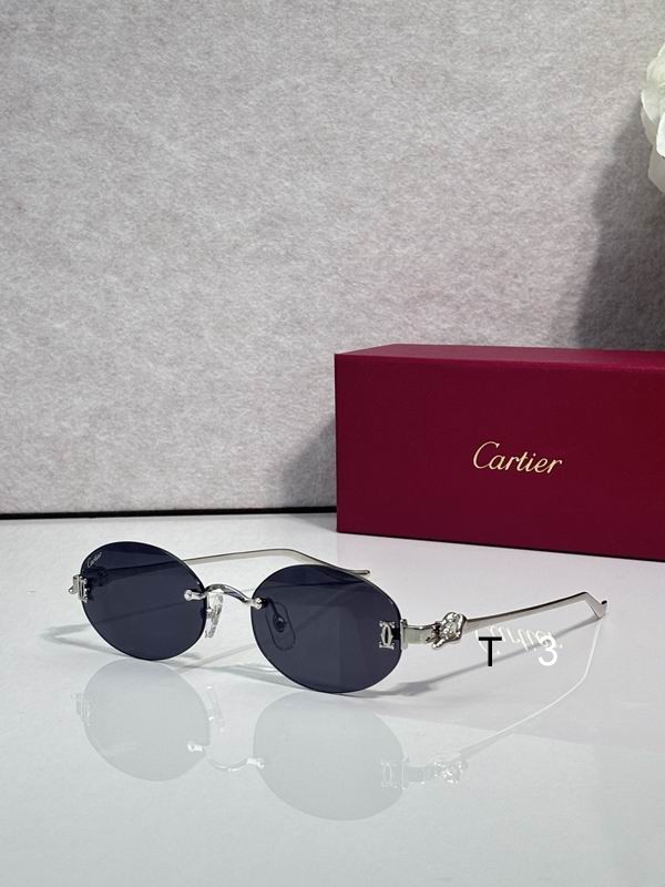 Cartier CT0653S 55 19- 135 c03