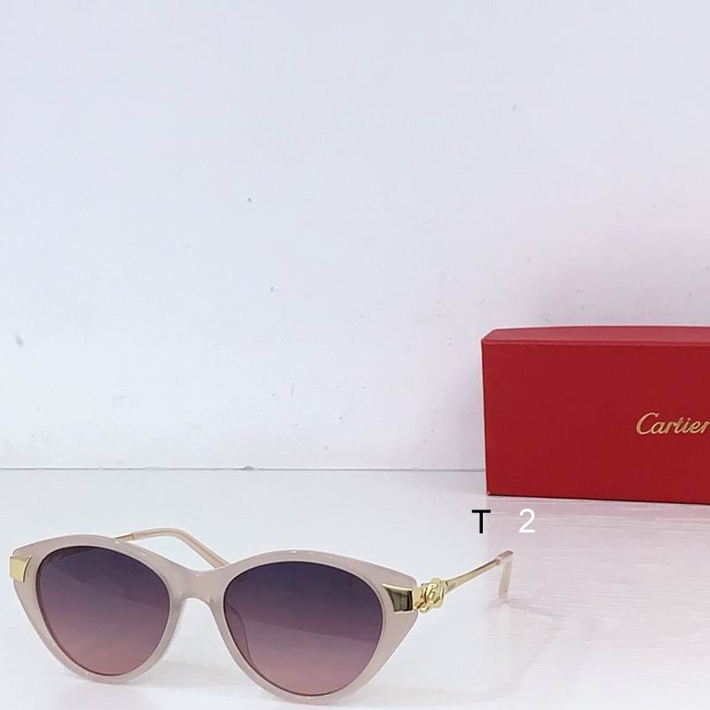 Cartier CT0656S 54 15-135 b06