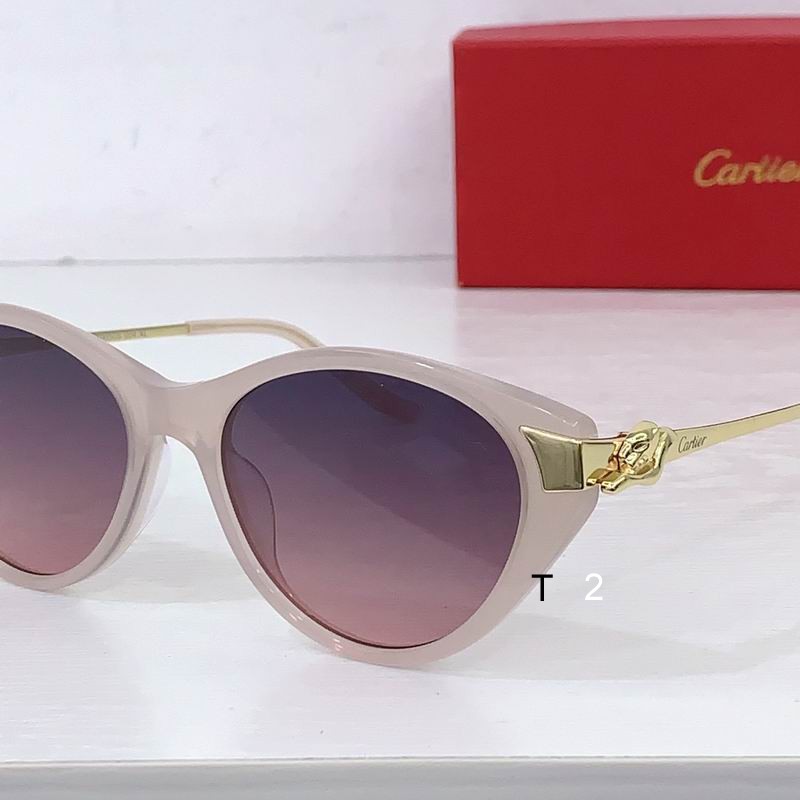 Cartier CT0656S 54 15-135 b07