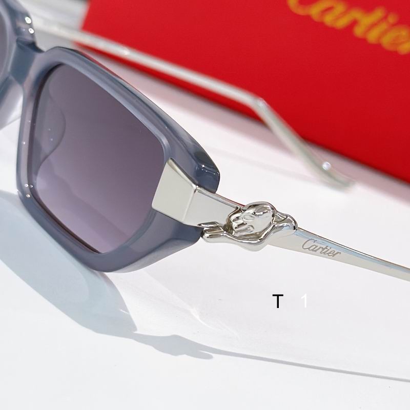 Cartier CT0657S 54 15-135 a07