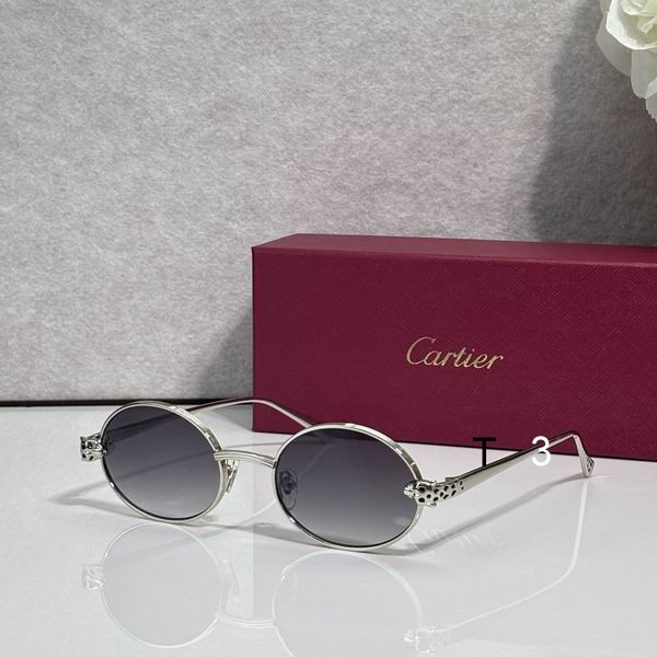 Cartier CT0931S 143 c02