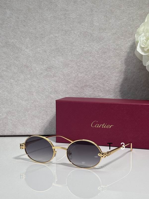 Cartier CT0931S 143 c03