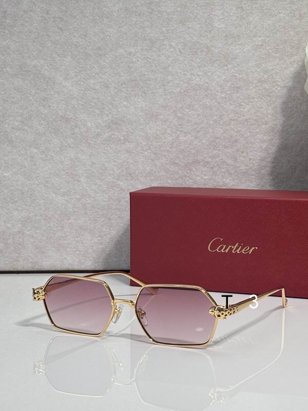 Cartier CT0932S 143 c1