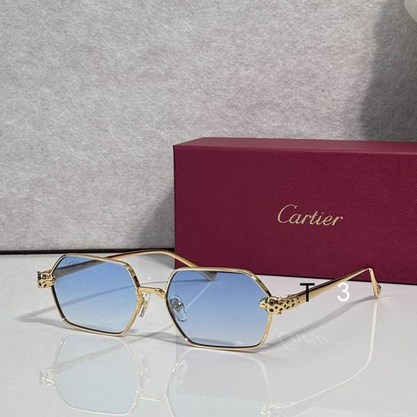 Cartier CT0932S 143 c2