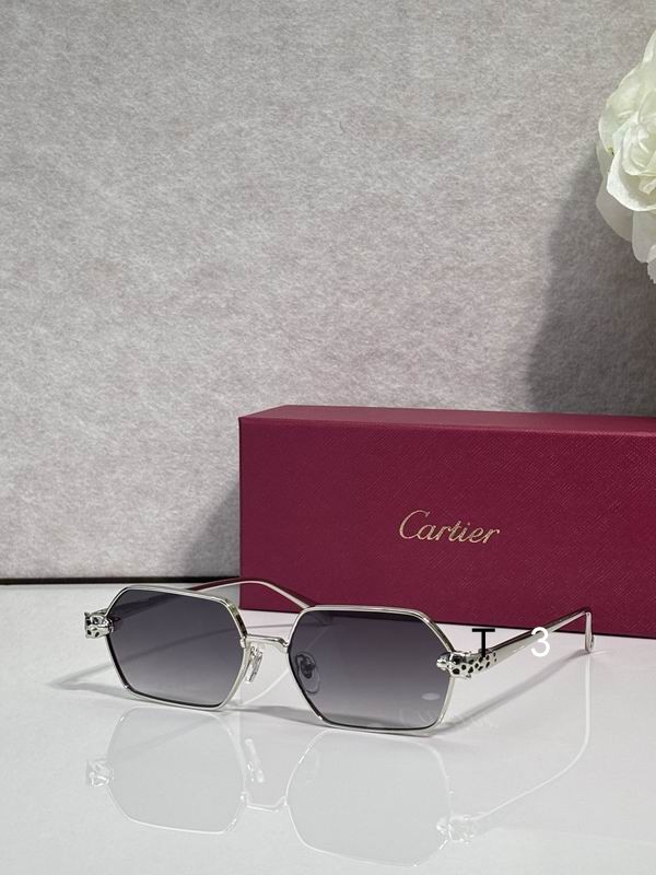 Cartier CT0932S 143 c3