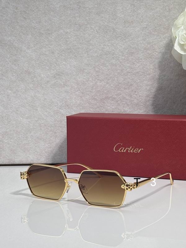 Cartier CT0932S 143 c4