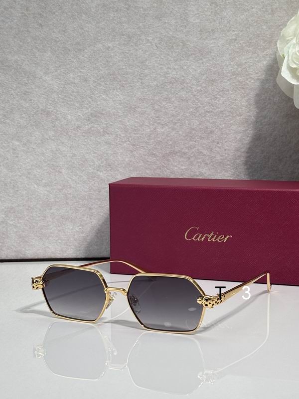 Cartier CT0932S 143 c5