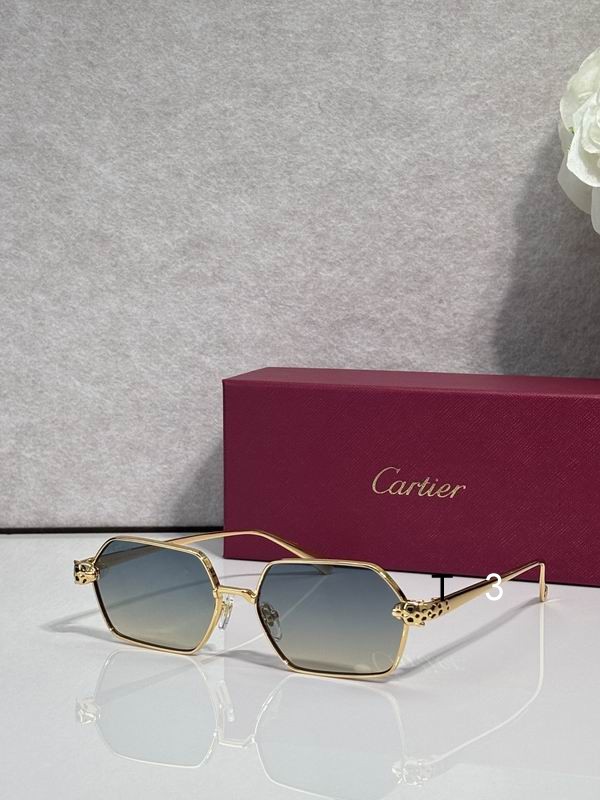 Cartier CT0932S 143 c6
