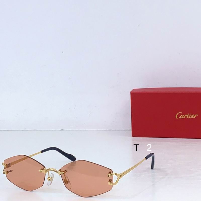 Cartier ESW00796 56 18-145 B02