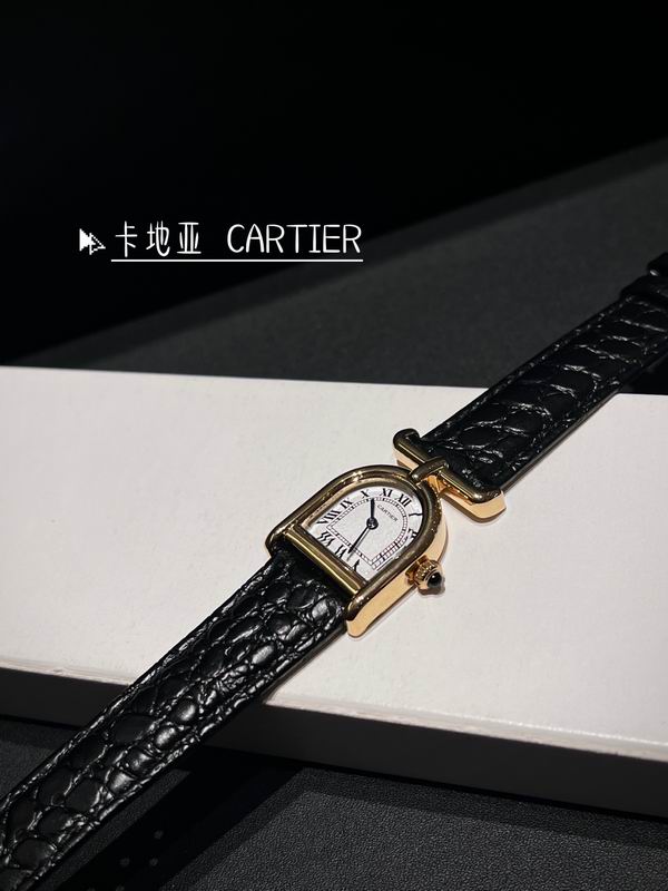Cartier watch 16 (22)