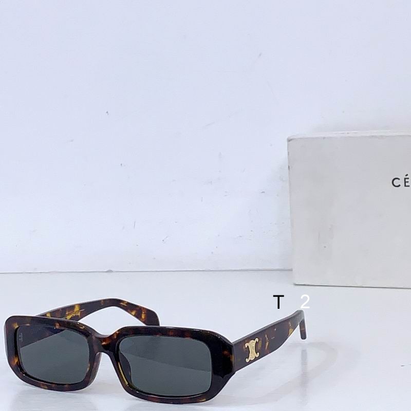 Celine CL4S335 55 17-145 b00