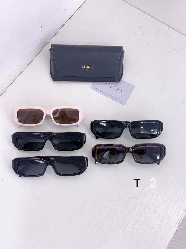 Celine CL4S335 55 17-145 b06