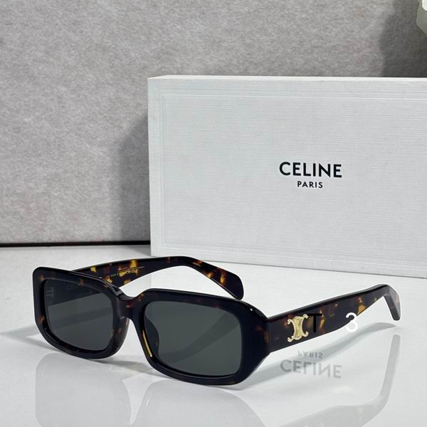 Celine CL4S335 55 17-145 c02