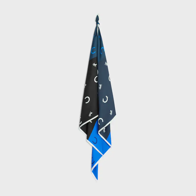 Celine Silk Scarf 90X90cm E32 (27)