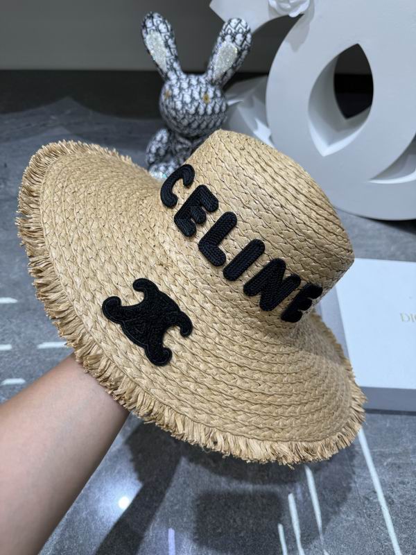 Celine top hat dx (1076)